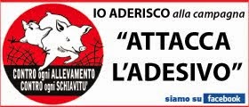 Campagna attacca l'adesivo