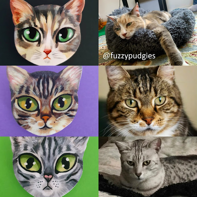 Cat Pet Portraits