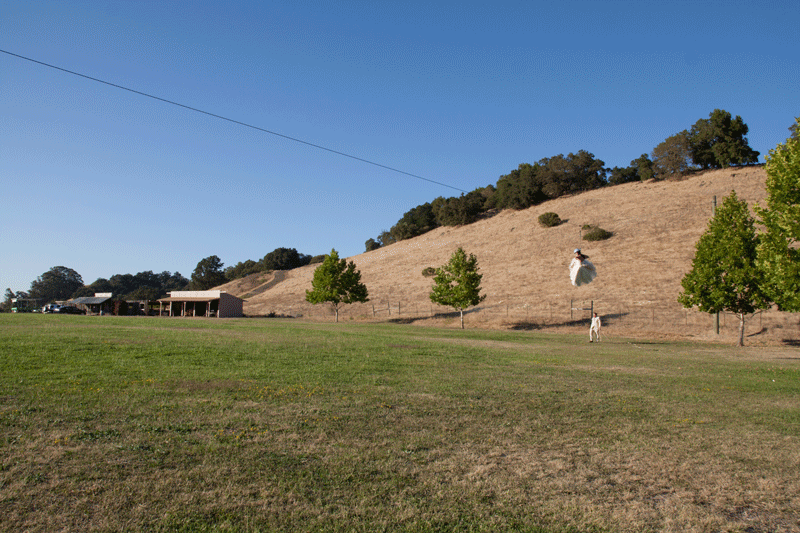 Searching for Erin Gleeson