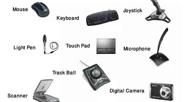 Input devices of computer
