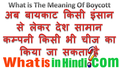 What is the meaning Boycott in Hindi
