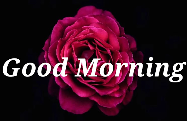 Good Morning. Good Morning.