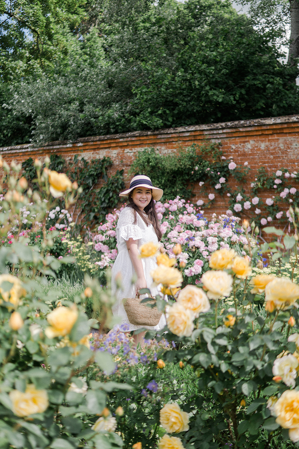 Garden Chronicles How To Keep Roses In Your Tropical Garden