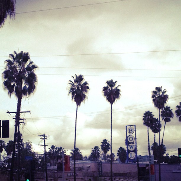 palm trees in LA, Jerry's Deli
