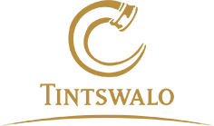 Tintswalo Lodges