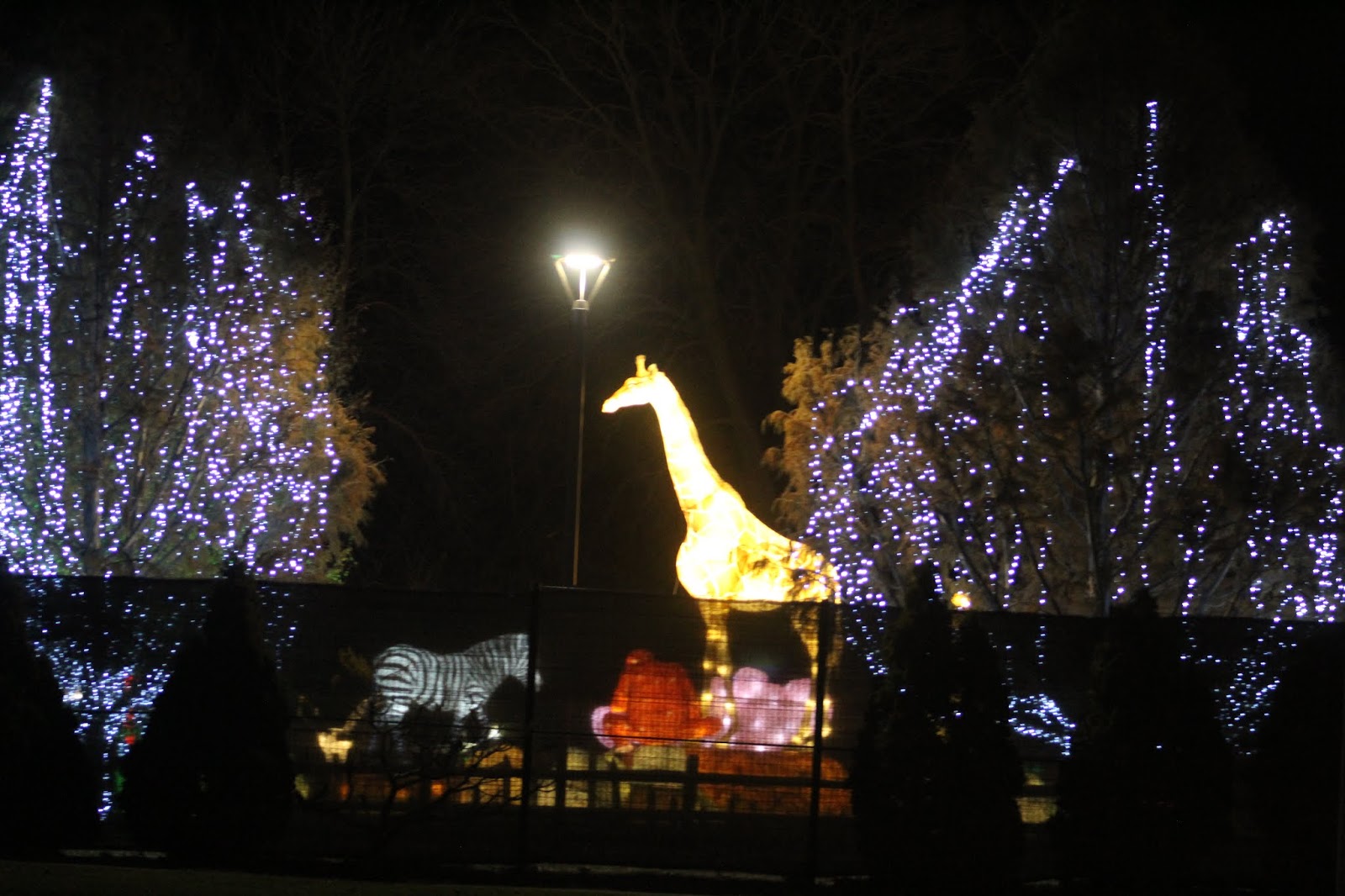 JT IRREGULARS Racine Zoo Lights