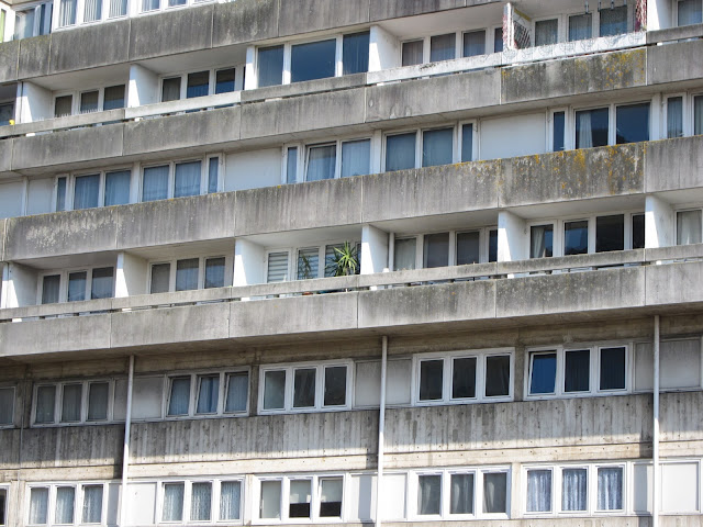 Cordyline on balcony of block of flats.