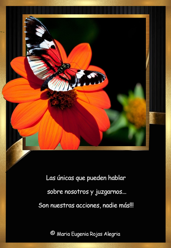 Pensamientos de Mau * Maria Eugenia Rojas Alegria: Las únicas