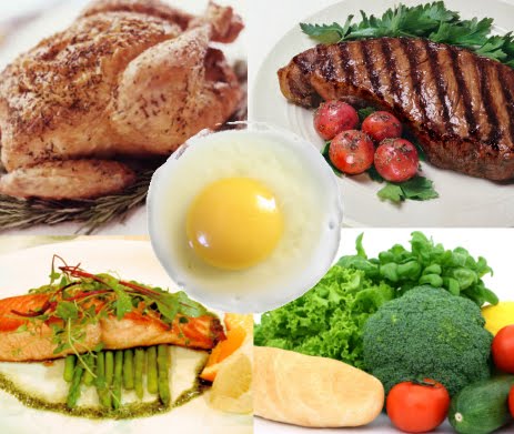 Health Care: Protein Rich Food