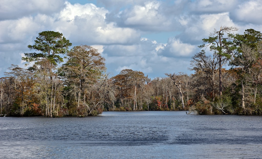 A Tale of Two Chemists Waccamaw River, South Carolina