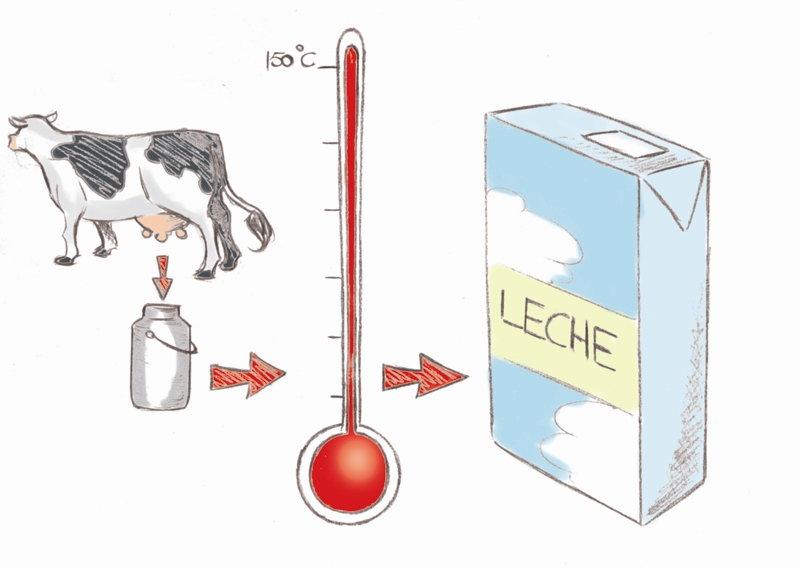 Proyecto informática LA LECHE PASTEURIZADA