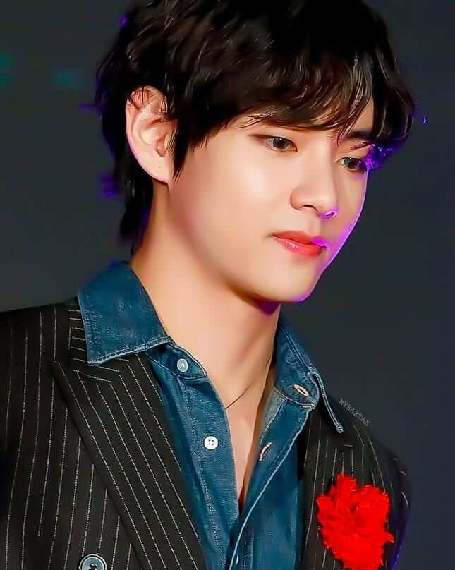 104+ BTS Members Photos Free Download - SVG