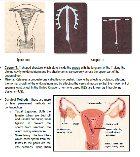  REPRODUCTIVE HEALTH notes and HOT Questions