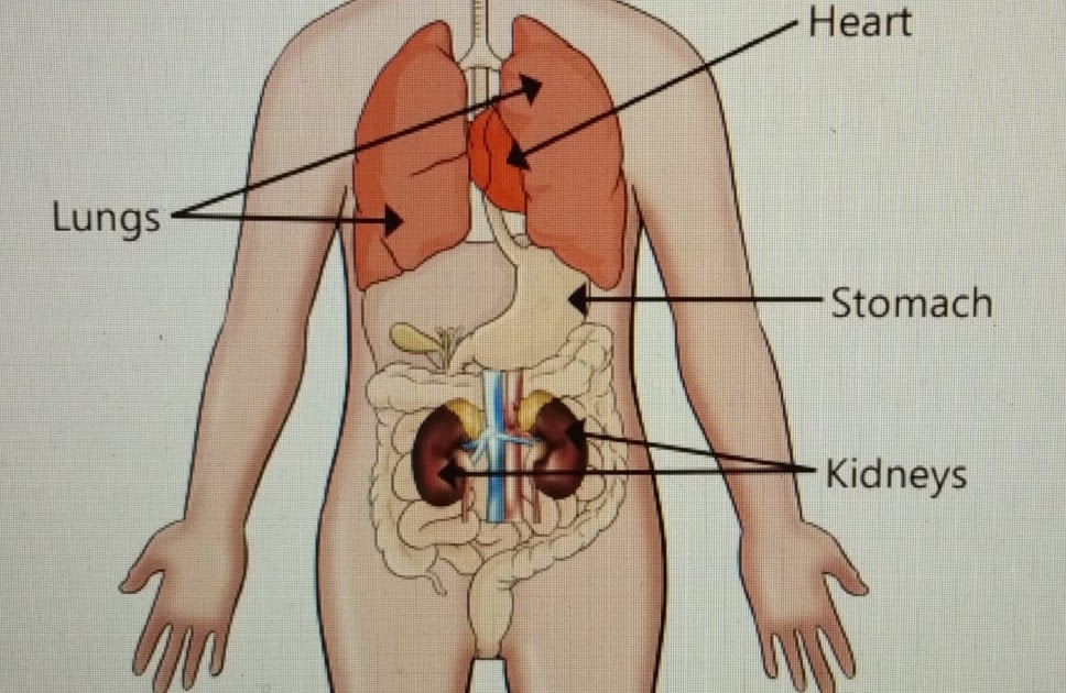 PIS BARODA STD-3: EVS - 9th FEBRUARY 2021 -VIRTUAL ONLINE CLASS DETAILS