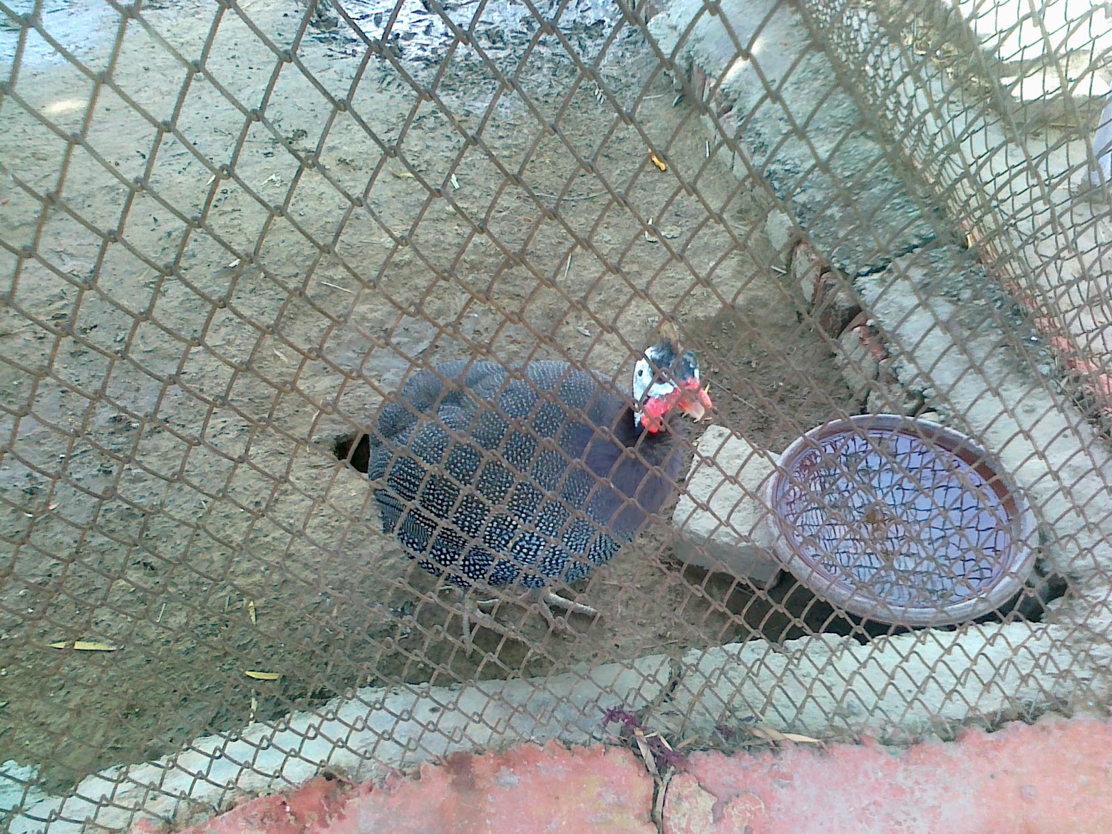 Tilyar lake Rohtak Photos Mini Zoo Photos Rohtak Tilyar Lake Images