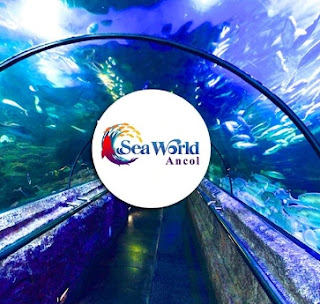 Tiket Seaworld Ancol Tiket Seaworld Ancol