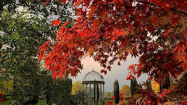 Thorp Perrow Arboretum, un paseo de otoño