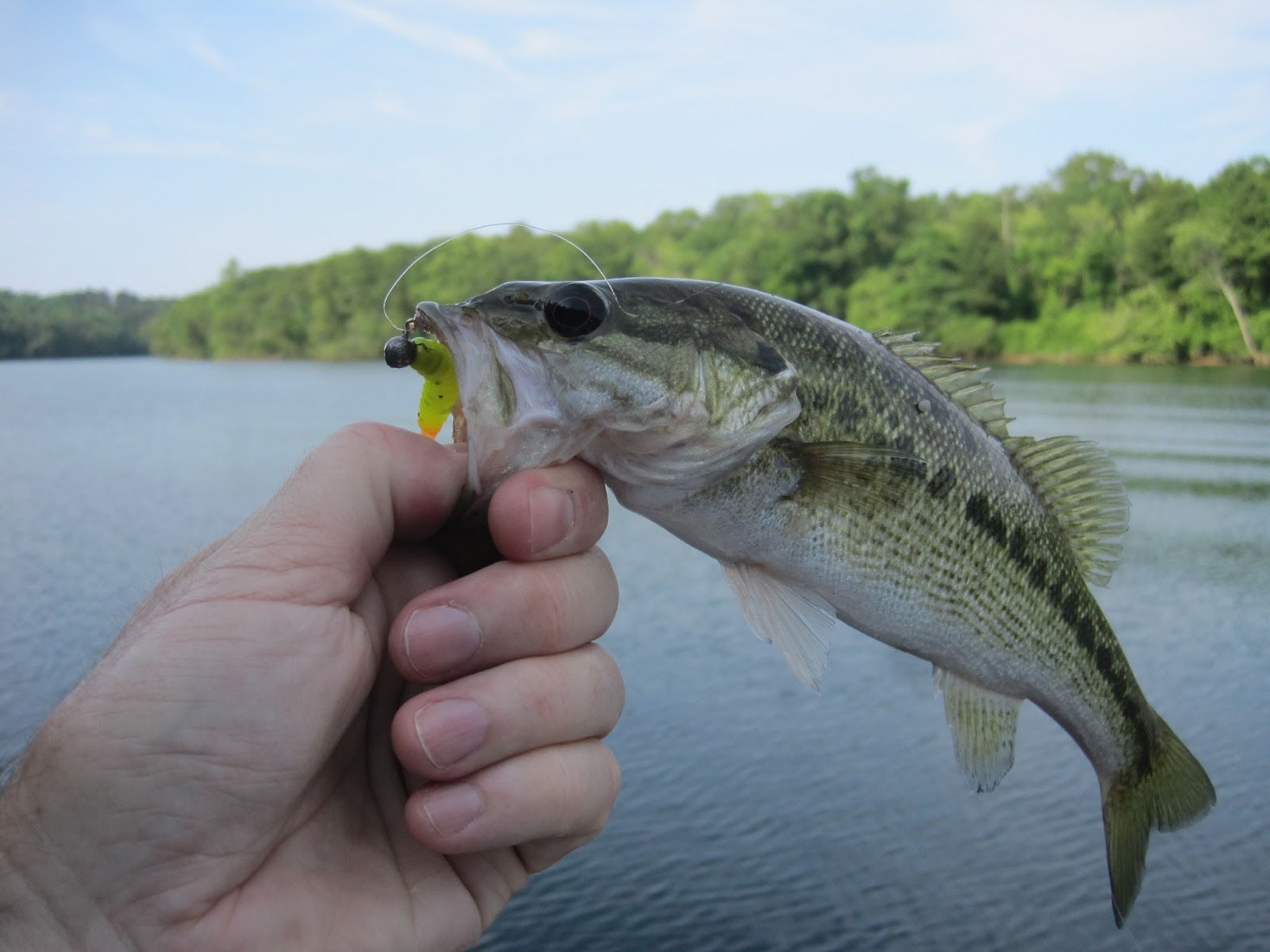 mrvaguefishmusic June fishing at Mountain Island Lake