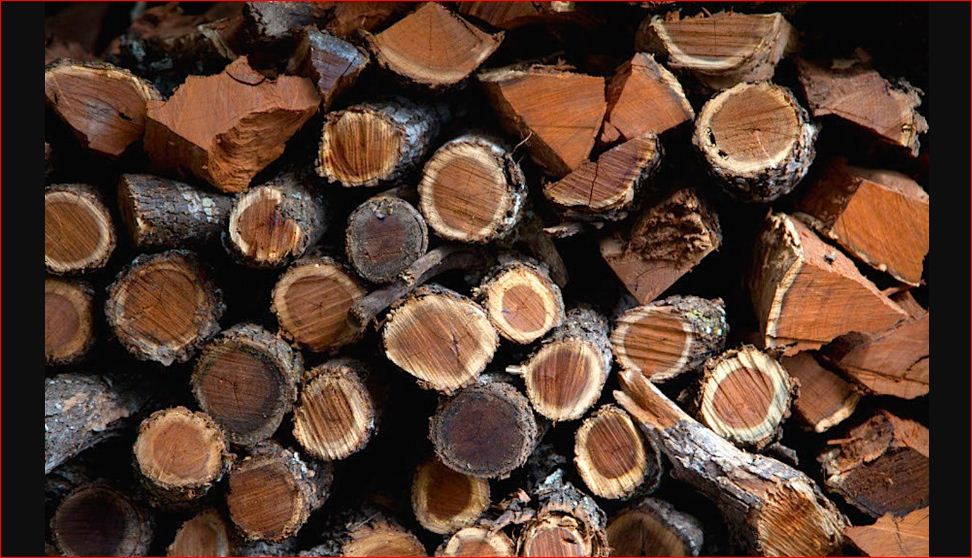 best wood for grilling steak CARPENTER BLOG