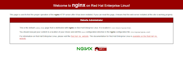 01-install-ssl-tls-certificate-nginx-default-page