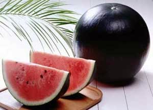 Densuke Watermelon