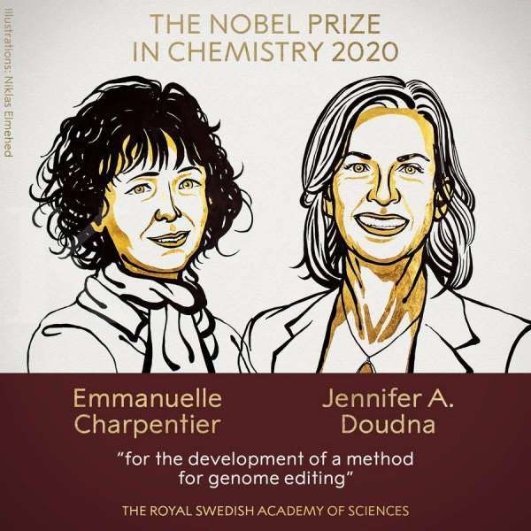  itu jatuh kepada Emmanuelle Charpentier dari Prancis dan Jennifer A  Luar Biasa, Dua Wanita Menyabet Nobel Kimia, Pertama Kali Dalam Sejarah