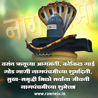 Nag Panchami Status in Marathi