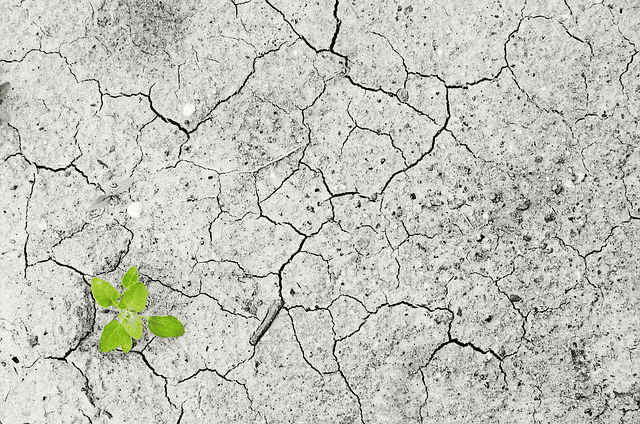 What Is Climate Change Essay Environment Talks what-is-climate-change-essay-environment-talks