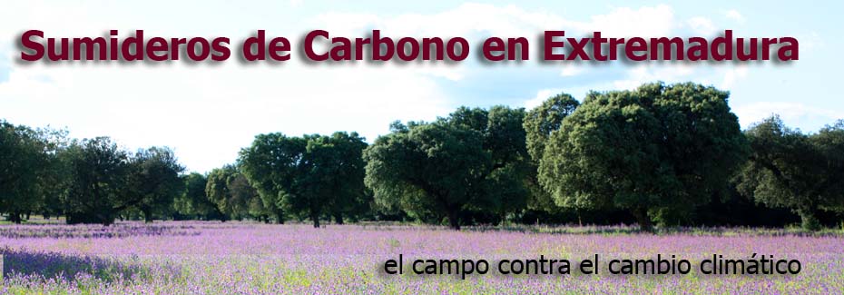 Sumideros de Carbono  en Extremadura