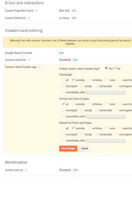 Custom robots header tags settings