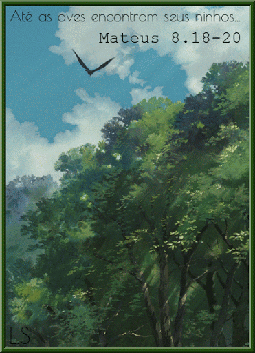 LAURA%252520SILVEIRA.gif