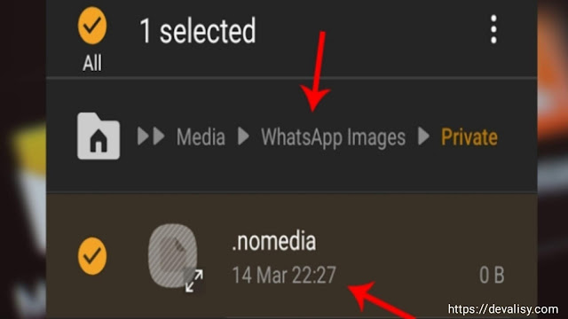 حل مشكلة عدم ظهور صور الواتس اب What­sApp على المعرض بسهولة