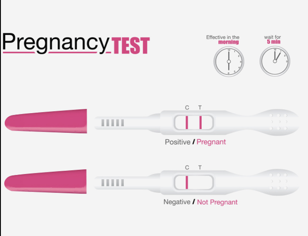 Тест на беременность сколько держать в моче. Тест на беременность плюс и минус. Тест на беременность инфографика. Бейби тест на беременность. Фейковые тесты на беременность.