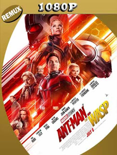 Ant-Man and The Wasp. El Hombre Hormiga y La Avispa (2018) [1080p REMUX] Latino [GoogleDrive] SXGO