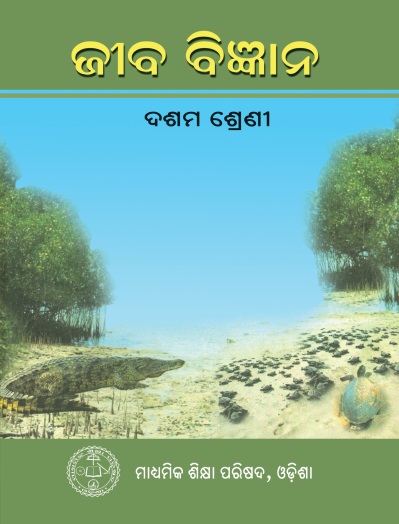 Class 8th Books