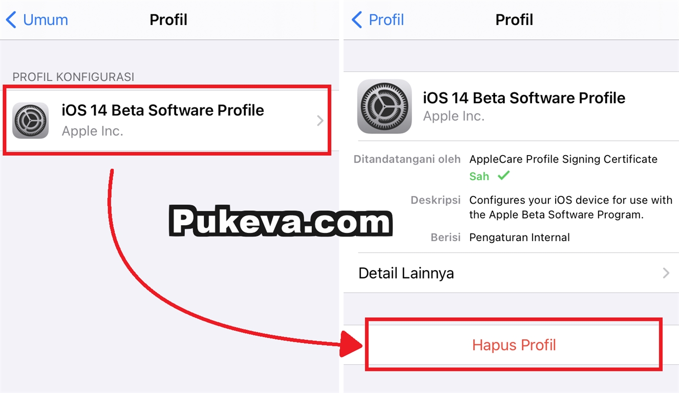 Cara Mengembalikan Ios Versi Beta Ke Versi Normal Tanpa Pc Pukeva