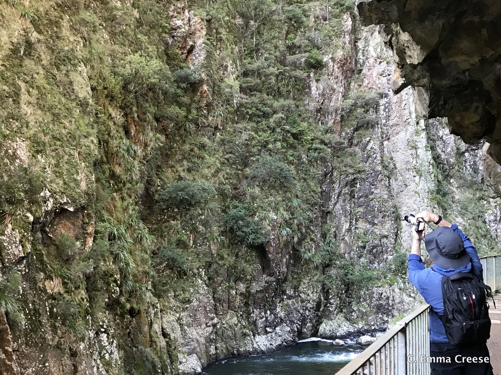 Wandering Through Karangahake Adventures of a London Kiwi