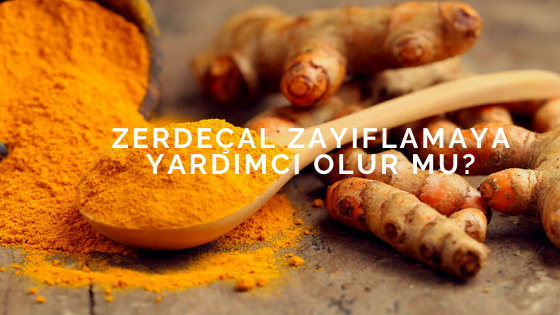 curcumin 500 blogger