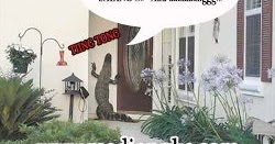 Asal Usul Kata Buaya Darat Madjongke