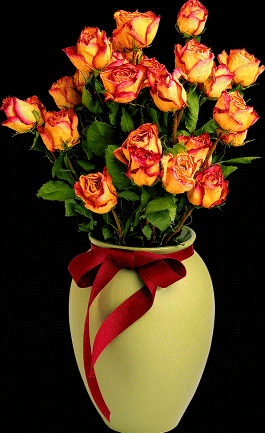 Lindas Gifs e Imagens Flores em Jpg e Gifs