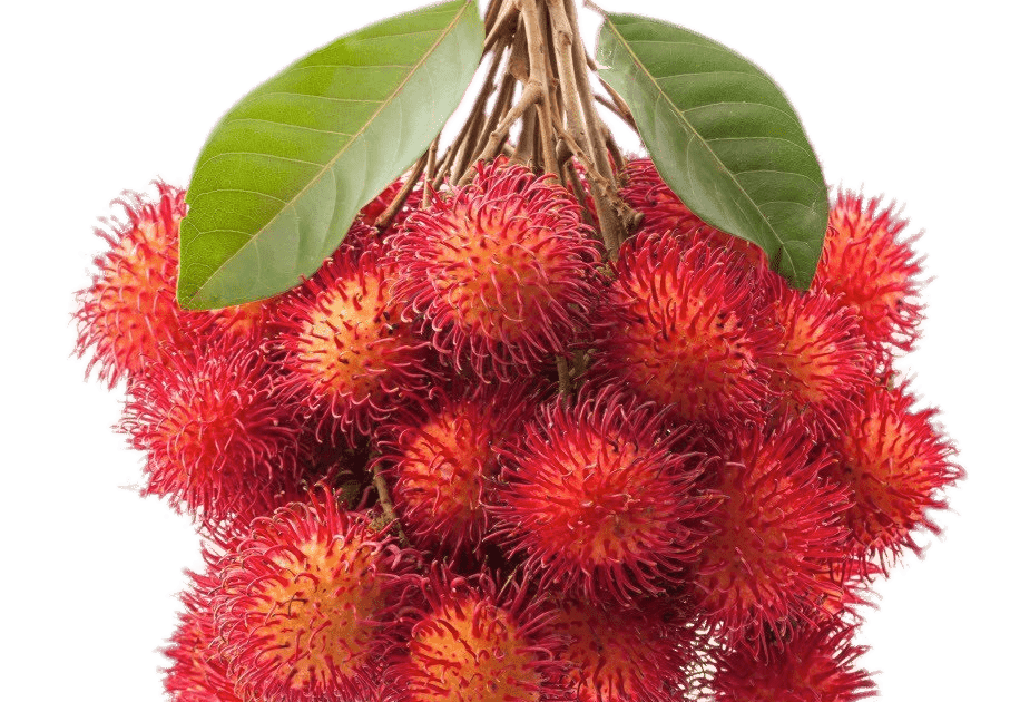 Rambutan bundle, rambutan tropical fruit fruit exotique, diverso