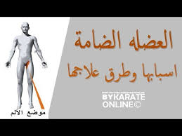 إصابة العضلة الضامة وعلاجها في أسبوع واحد. الرياضة مرة أخرى بالثانية