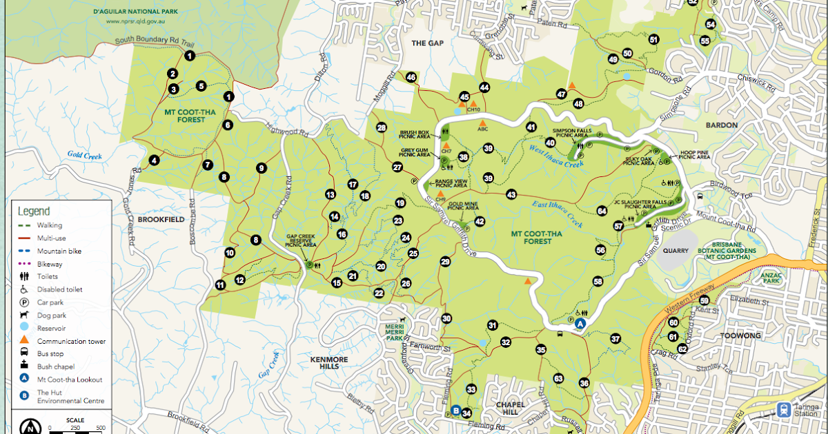 Running in the Rain BrisbaneMt Coottha Forest