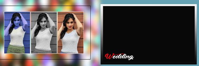 Best 5 Wedding Album Design PSD Free Download 12x36 IN 2020