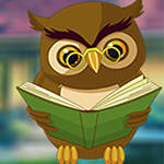 Play Games4King - G4K Expound Owl Escape Game