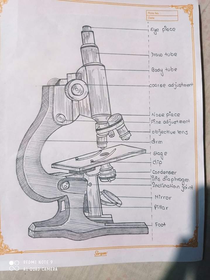 How to Draw a Microscope  Realistic Microscope Drawing Tutorial