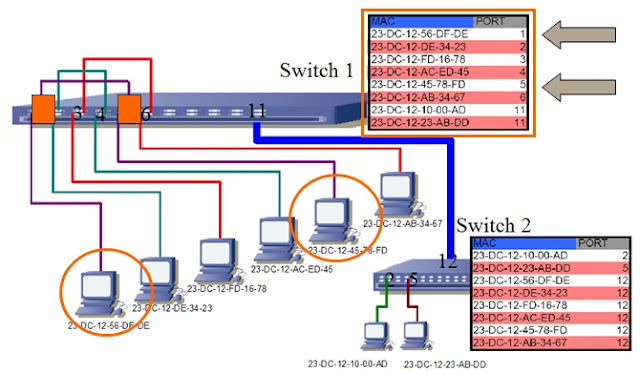 Ethernet Switching Fundamentals