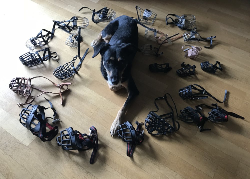 Scalable Capital Fuhrt Vier Neue Faktor Etfs Ein