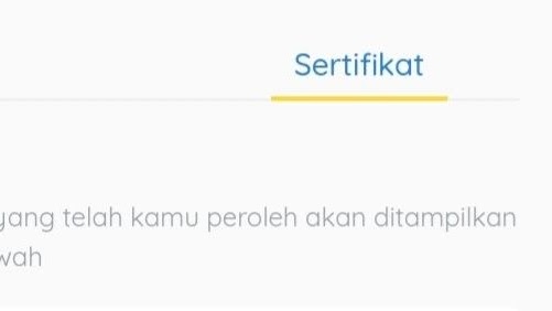 Cara Mengatasi Sertifikat Prakerja Tidak Muncul Di Akun
