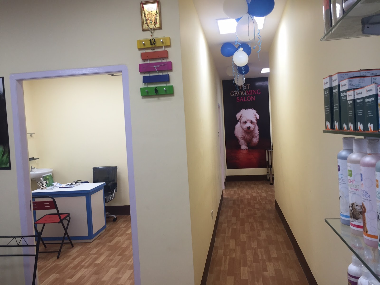 Urban Journal Pet Care Clinic